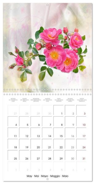 Produktbild: Sheer joy (Wall Calendar 2026 12 &times; 12 Inch) CALVENDO 12 Month Wall Calendar