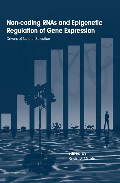 Produktbild: Non-Coding Rnas and Epigenetic Regulation of Gene Expression