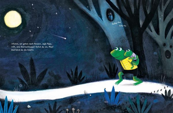 Produktbild: Komm mit, kleiner Frosch