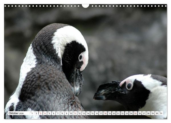 Produktbild: Tierische Fracktr&auml;ger (Wandkalender 2026 DIN A3 quer), CALVENDO Monatskalender