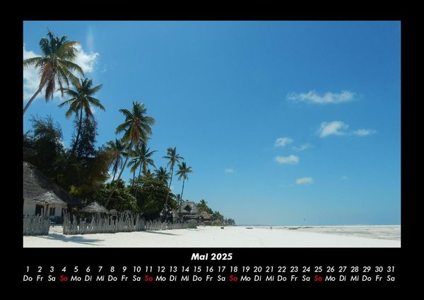 Produktbild: Palmentraum 2025 Fotokalender DIN A3