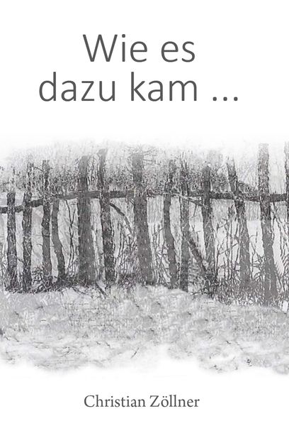 Produktbild: Wie es dazu kam ...