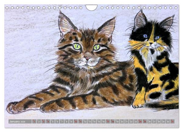 Produktbild: Beautiful cat portraits (Wall Calendar 2026 DIN A4 landscape), CALVENDO 12 Month Wall Calendar