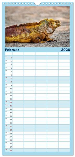 Produktbild: Familienplaner 2026 - Drachen: Geheimnisvolles Tierreich mit 5 Spalten (Wandkalender, 21 x 45 cm) CALVENDO