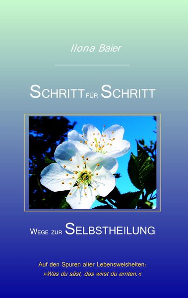 Schritt für Schritt, Taschenbuch von Ilona Baier, BoD – Books on Demand, 9783839190982