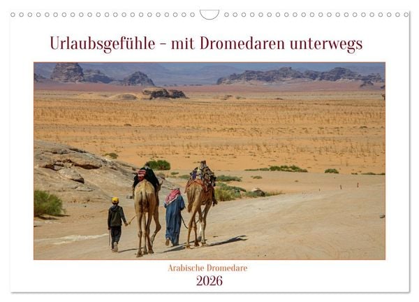 Urlaubsgefühle - mit Dromedaren unterwegs (Wandkalender 2026 DIN A3 quer), CALVENDO Monatskalender