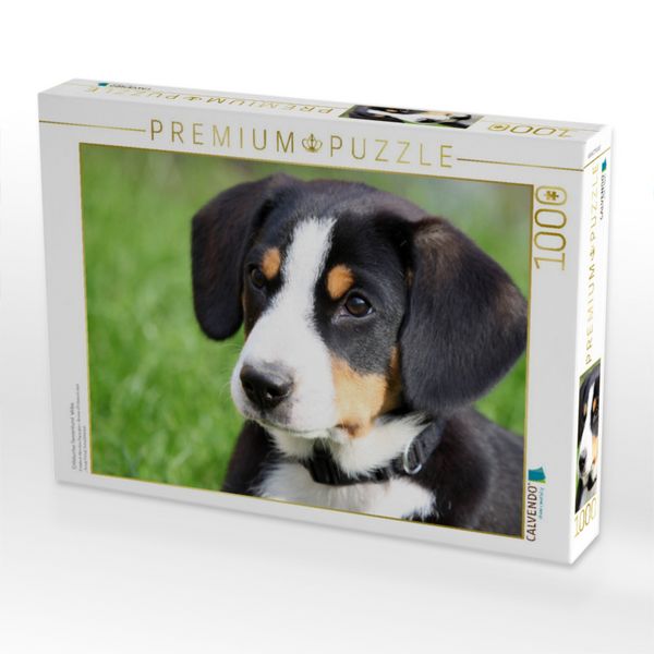 Produktbild: CALVENDO Puzzle Entlebucher Sennenhund Welpe | 1000 Teile Lege-Gr&ouml;&szlig;e 64x48cm Foto-Puzzle f&uuml;r gl&uuml;ckliche Stunden