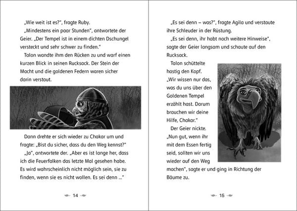 Produktbild: Der letzte Feuerfalke und der goldene Tempel (Band 9)