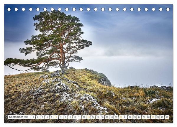 Produktbild: B&auml;ume im Altm&uuml;hltal (Tischkalender 2026 DIN A5 quer), CALVENDO Monatskalender