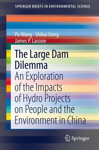 Produktbild: The Large Dam Dilemma