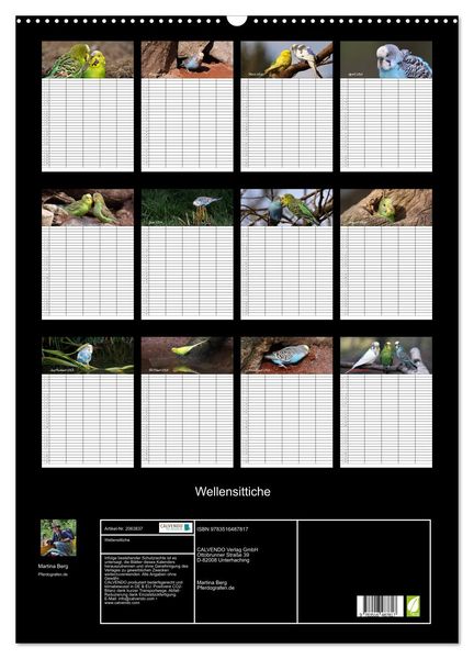 Produktbild: Wellensittiche (Wandkalender 2026 DIN A2 hoch), CALVENDO Monatskalender