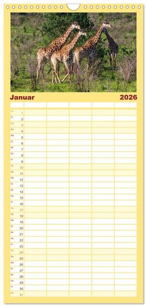 Produktbild: Familienplaner 2026 - Komm mit auf Safari! Botswana und S&uuml;dafrika mit 5 Spalten (Wandkalender, 21 x 45 cm) CALVENDO