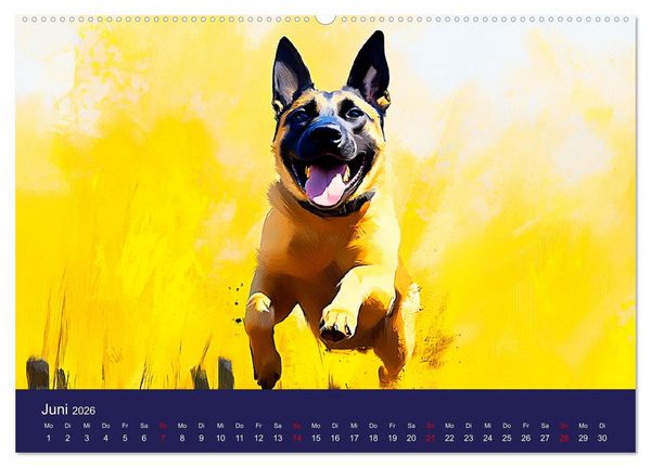 Produktbild: Loyaler Malinois. Belgische Sch&auml;ferhunde im Aquarell-Stil (Wandkalender 2026 DIN A2 quer), CALVENDO Monatskalender