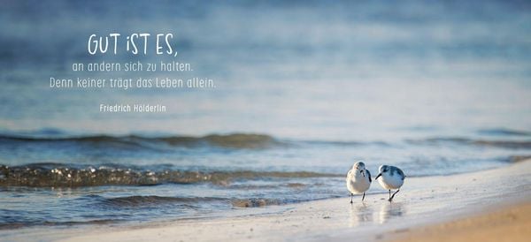 Produktbild: Gute Besserung