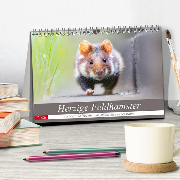 Produktbild: Herzige Feldhamster - farbenfrohe Nagetiere im st&auml;dtischen Lebensraum (Tischkalender 2026 DIN A5 quer), CALVENDO Monatskalender