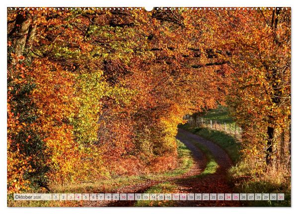 Produktbild: Idyllische Wanderwege im Bergischen Land (hochwertiger Premium Wandkalender 2026 DIN A2 quer), Kunstdruck in Hochglanz