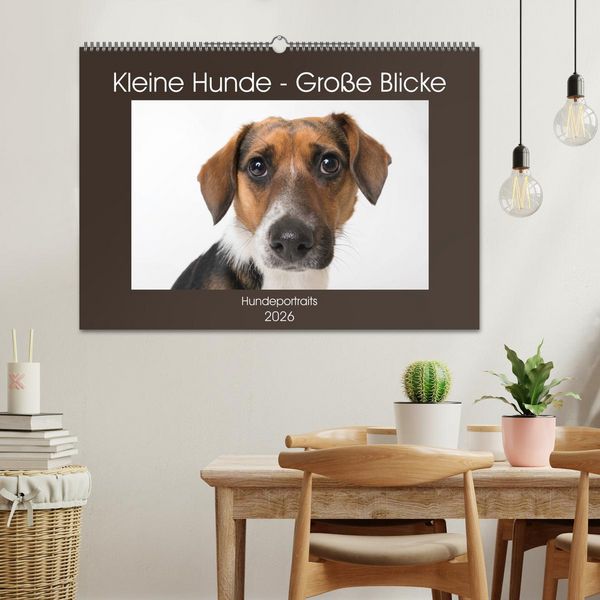 Produktbild: Kleine Hunde - Gro&szlig;e Blicke (Wandkalender 2026 DIN A2 quer), CALVENDO Monatskalender