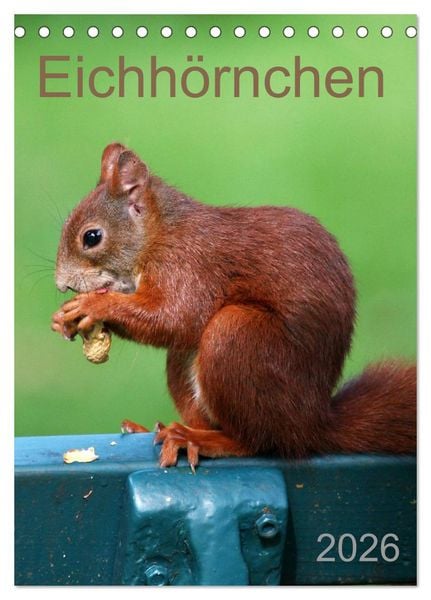 Produktbild: Eichh&ouml;rnchen (Tischkalender 2026 DIN A5 hoch), CALVENDO Monatskalender