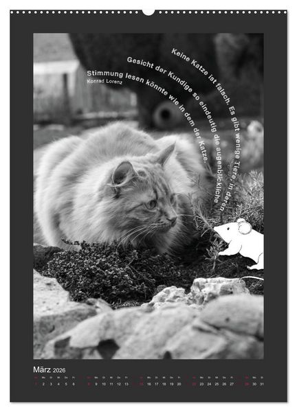 Produktbild: Katz & Maus (Wandkalender 2026 DIN A2 hoch), CALVENDO Monatskalender