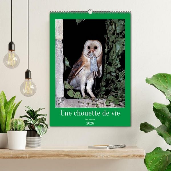 Produktbild: Une chouette de vie, les oiseaux (Calendrier mural 2026 DIN A2 horizontal), CALVENDO calendrier mensuel