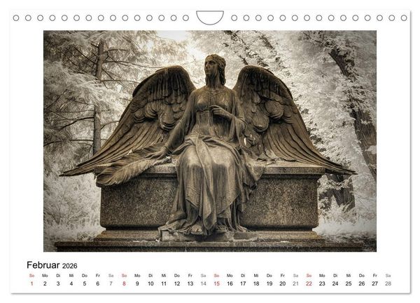 Produktbild: your guardian angel - Dein Schutzengel f&uuml;r jeden Tag (Wandkalender 2026 DIN A4 quer), CALVENDO Monatskalender