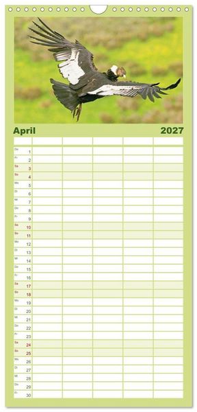 Produktbild: Familienplaner 2027 - Peru: Natur mit Geschichte mit 5 Spalten (Wandkalender, 21 x 45 cm) CALVENDO