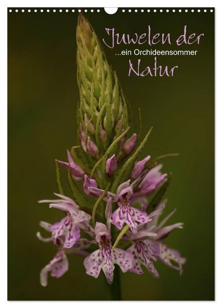 Produktbild: Juwelen der Natur - Ein Orchideensommer (Wandkalender 2026 DIN A3 hoch), CALVENDO Monatskalender
