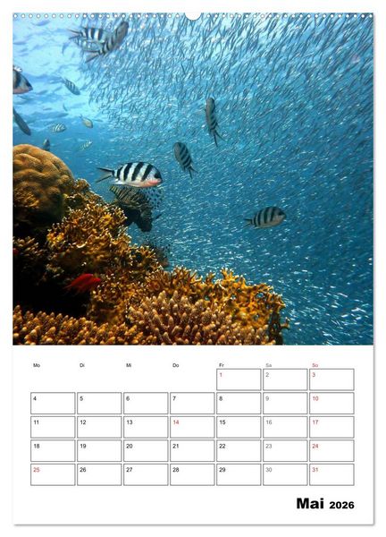Produktbild: Zauberwelt. Fische, Korallen und Co. (Wandkalender 2026 DIN A2 hoch), CALVENDO Monatskalender