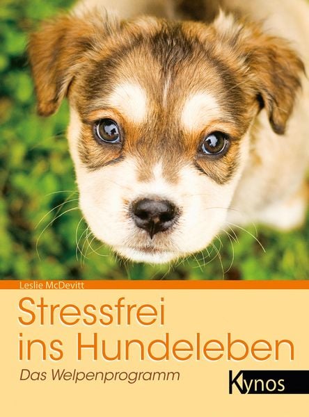 Produktbild: Stressfrei ins Hundeleben