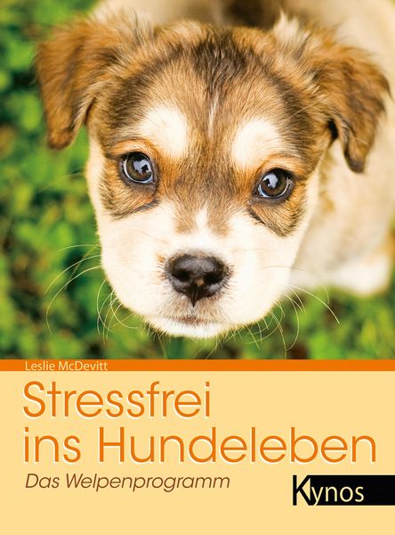 Produktbild: Stressfrei ins Hundeleben