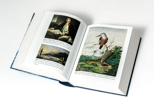 Produktbild: Forster - Reise um die Welt