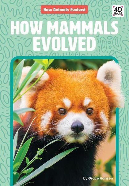 Produktbild: How Mammals Evolved