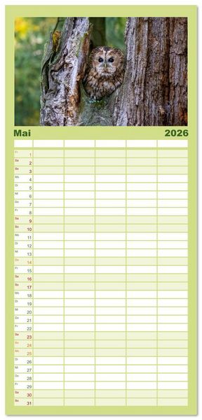 Produktbild: Familienplaner 2026 - Eulen - Fl&uuml;gel der Nacht mit 5 Spalten (Wandkalender, 21 x 45 cm) CALVENDO