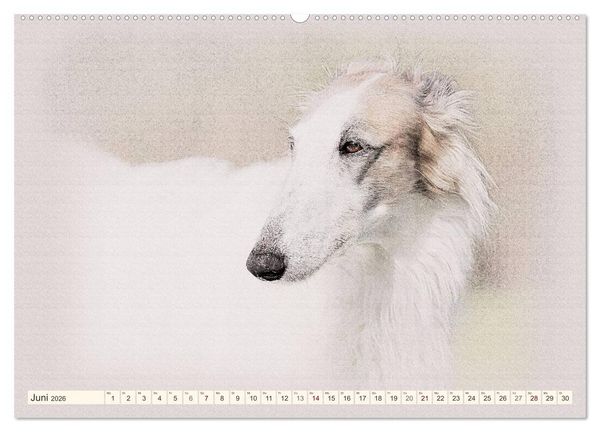 Produktbild: Windhunde 2026 (hochwertiger Premium Wandkalender 2026 DIN A2 quer), Kunstdruck in Hochglanz