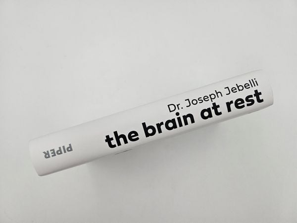 Produktbild: The brain at rest
