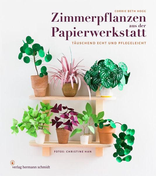 Zimmerpflanzen aus der Papierwerkstatt