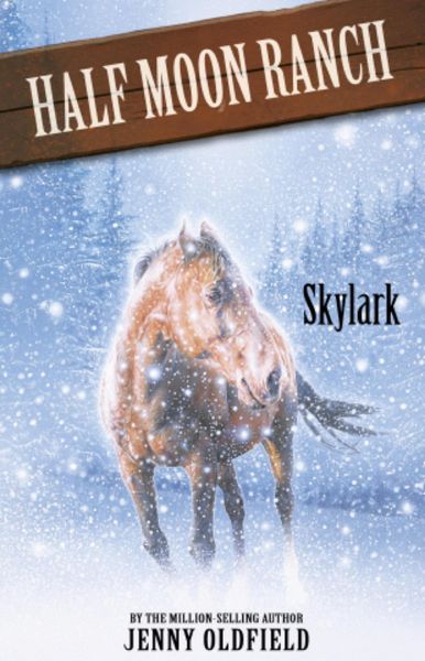 Produktbild: Skylark