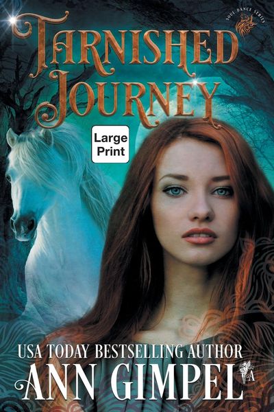 Produktbild: Tarnished Journey