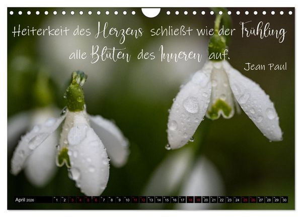 Produktbild: Bilder und Texte f&uuml;r die Seele (Wandkalender 2026 DIN A4 quer), CALVENDO Monatskalender