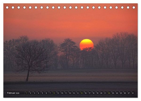 Produktbild: B&auml;ume (Tischkalender 2026 DIN A5 quer), CALVENDO Monatskalender