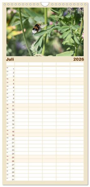 Produktbild: Familienplaner 2026 - Hummelflug mit 5 Spalten (Wandkalender, 21 x 45 cm) CALVENDO