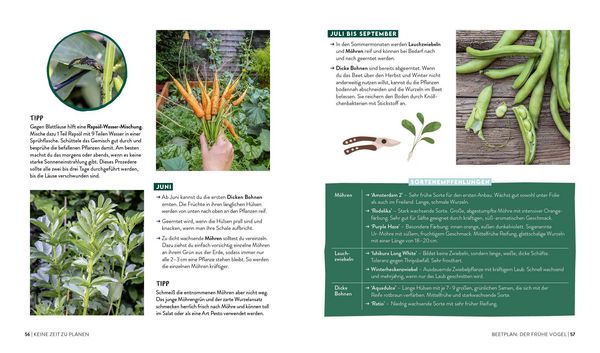 Produktbild: Keine Zeit zu g&auml;rtnern &ndash;&nbsp;Easy Erntegl&uuml;ck mit wenig Aufwand