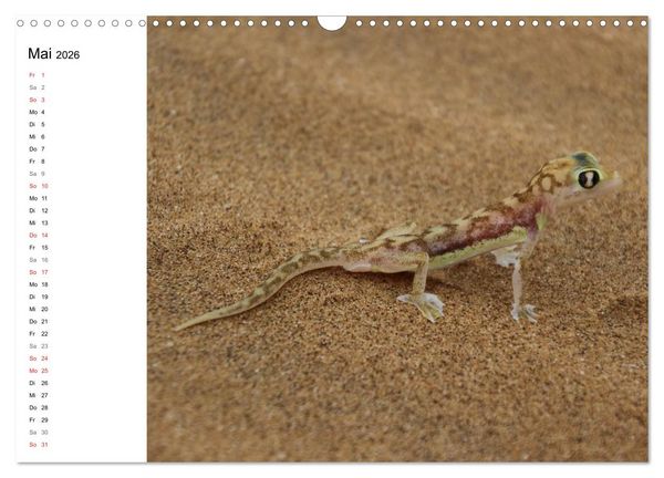 Produktbild: Namibia - Tierische Vielfalt (Planer) (Wandkalender 2026 DIN A3 quer), CALVENDO Monatskalender
