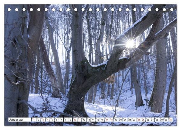 Produktbild: F&uuml;rstenfeldbruck - Streifzug durch Natur und Stadt (Tischkalender 2026 DIN A5 quer), CALVENDO Monatskalender