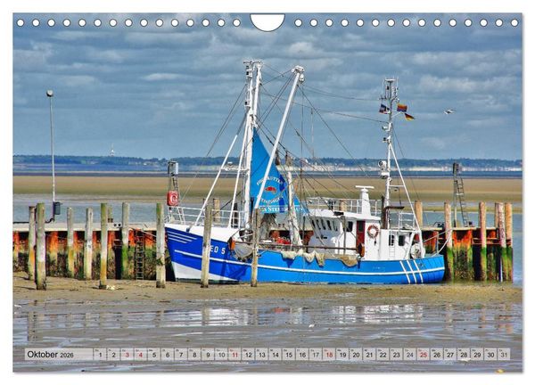 Produktbild: Typisch Amrum! (Wandkalender 2026 DIN A4 quer), CALVENDO Monatskalender