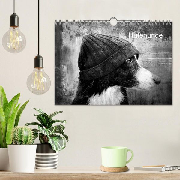 Produktbild: H&uuml;tehunde (Wandkalender 2026 DIN A4 quer), CALVENDO Monatskalender