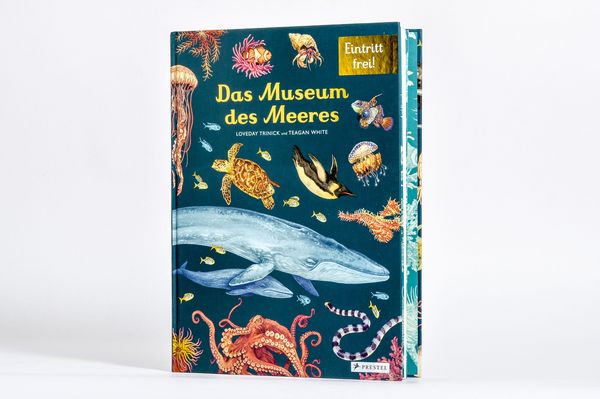 Produktbild: Das Museum des Meeres