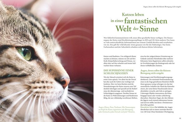 Produktbild: Katzensprache