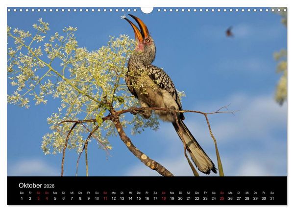 Produktbild: Eindr&uuml;cke aus Namibia (Wandkalender 2026 DIN A3 quer), CALVENDO Monatskalender
