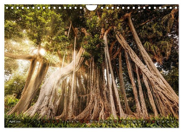 Produktbild: Die Kanarische Inseln Teneriffa, Gran Canaria und Fuerteventura (Wandkalender 2026 DIN A4 quer), CALVENDO Monatskalender